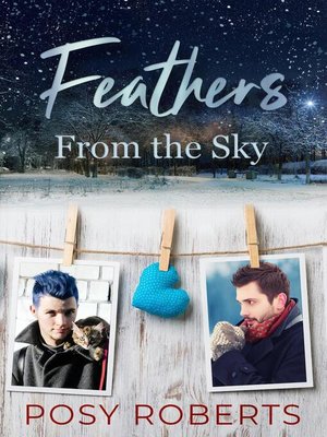 cover image of Feathers From the Sky